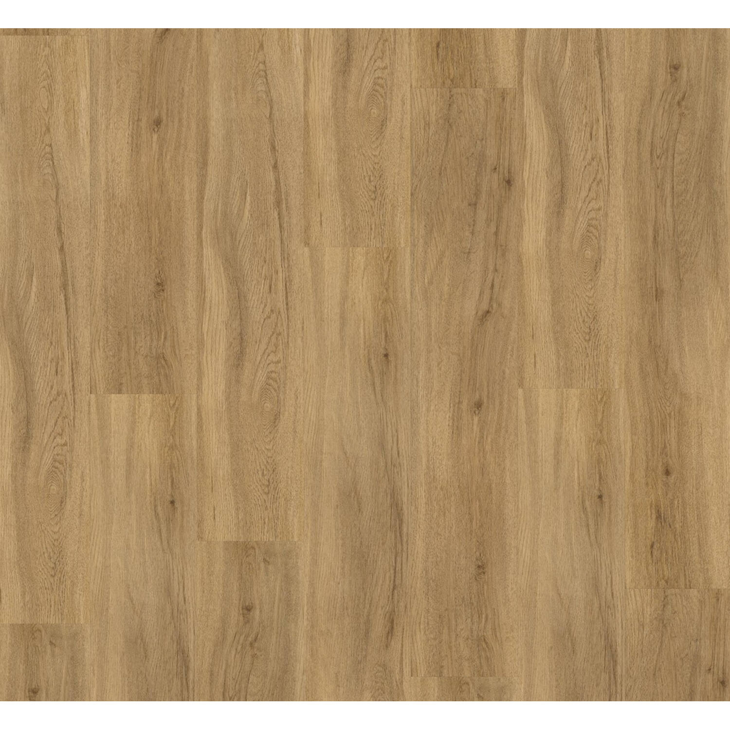 PARADOR Vinyl Basic 30 Eiken Sierra Natuur